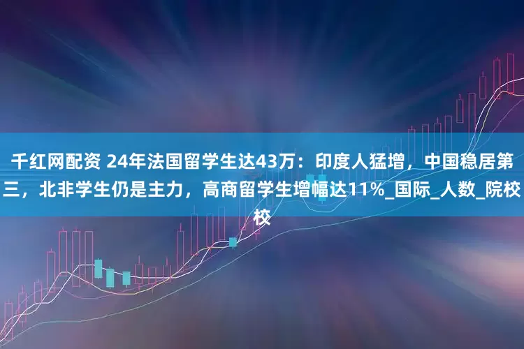 千红网配资 24年法国留学生达43万：印度人猛增，中国稳居第三，北非学生仍是主力，高商留学生增幅达11%_国际_人数_院校
